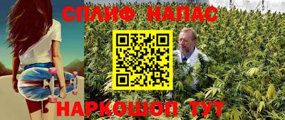 гидра Бузулук