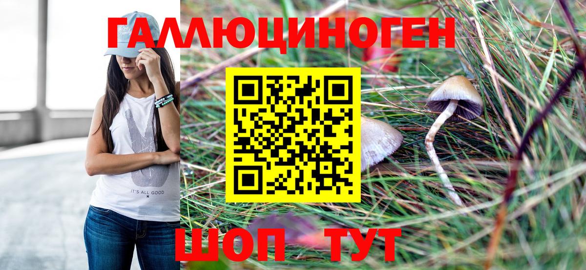Луга  Галлюциногенные грибы MAGIC MUSHROOMS  Вход с VPN 