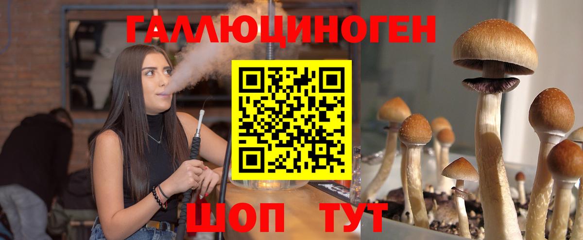 Псилоцибиновые грибы Magic Shrooms Луга