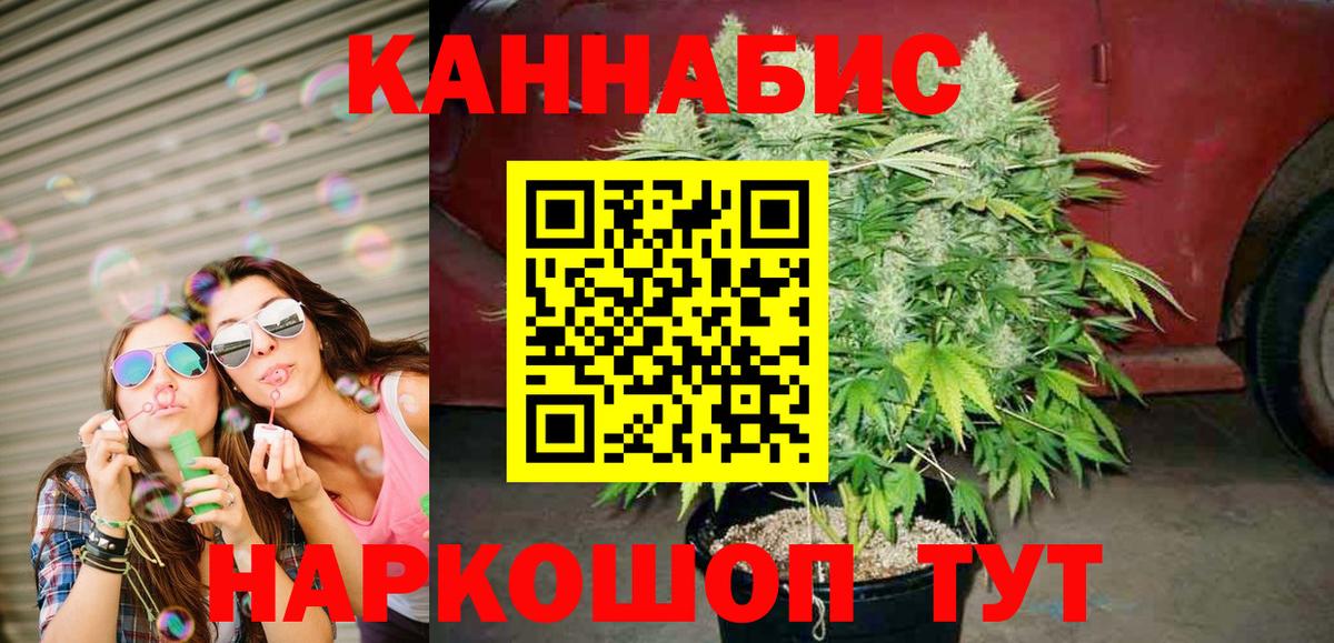 Конопля сатива Луга